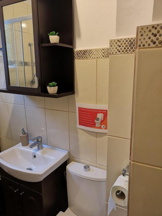 Deea Apartament Apartment Craiova Exterior photo